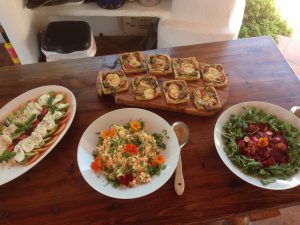 Vegetarian organic salads