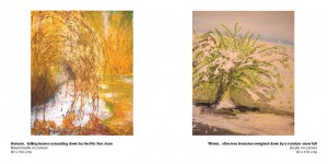 Steffi Goddard Art Book