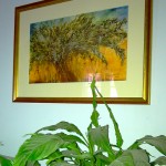Olive Tree Prints For Sale-Private Home, Farnham, UK