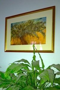 Olive Tree Prints For Sale-Private Home, Farnham, UK